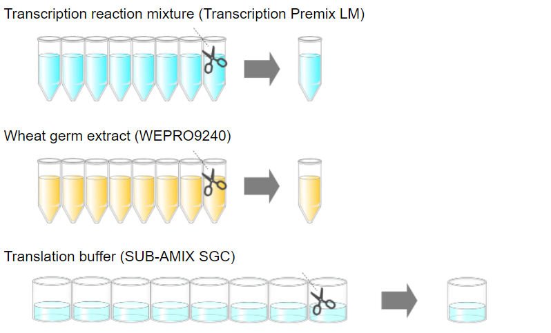 General flow of protein expression using Premium PLUS Expression Kit