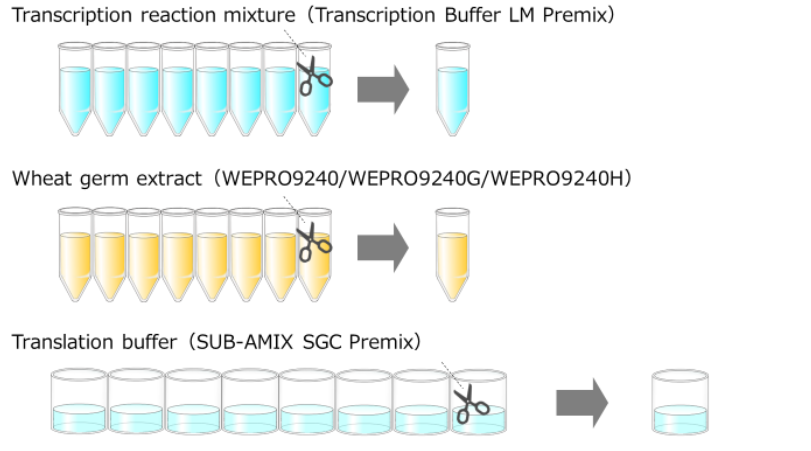 General flow of protein expression using Protein Research Kit S16
