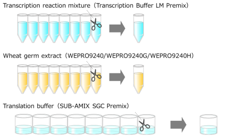 General flow of protein expression using Protein Research Kit H16