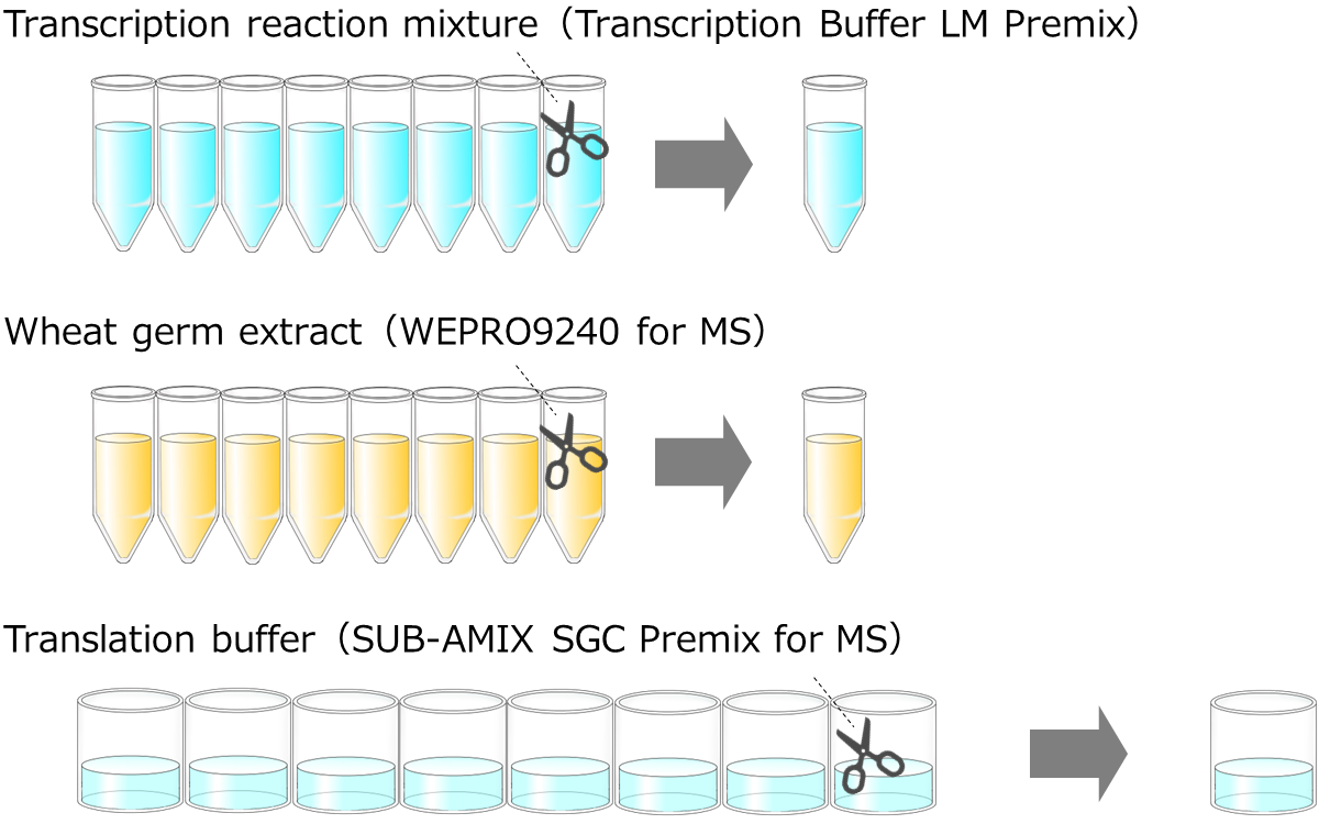 General flow of protein expression using Premium PLUS Expression Kit