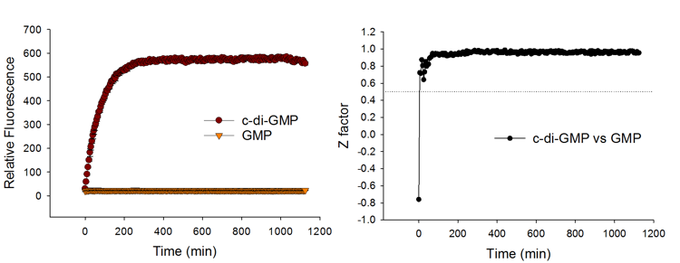Quick response and good signal stability of Cyclic-di-GMP Assay based on Spinach™ aptamer