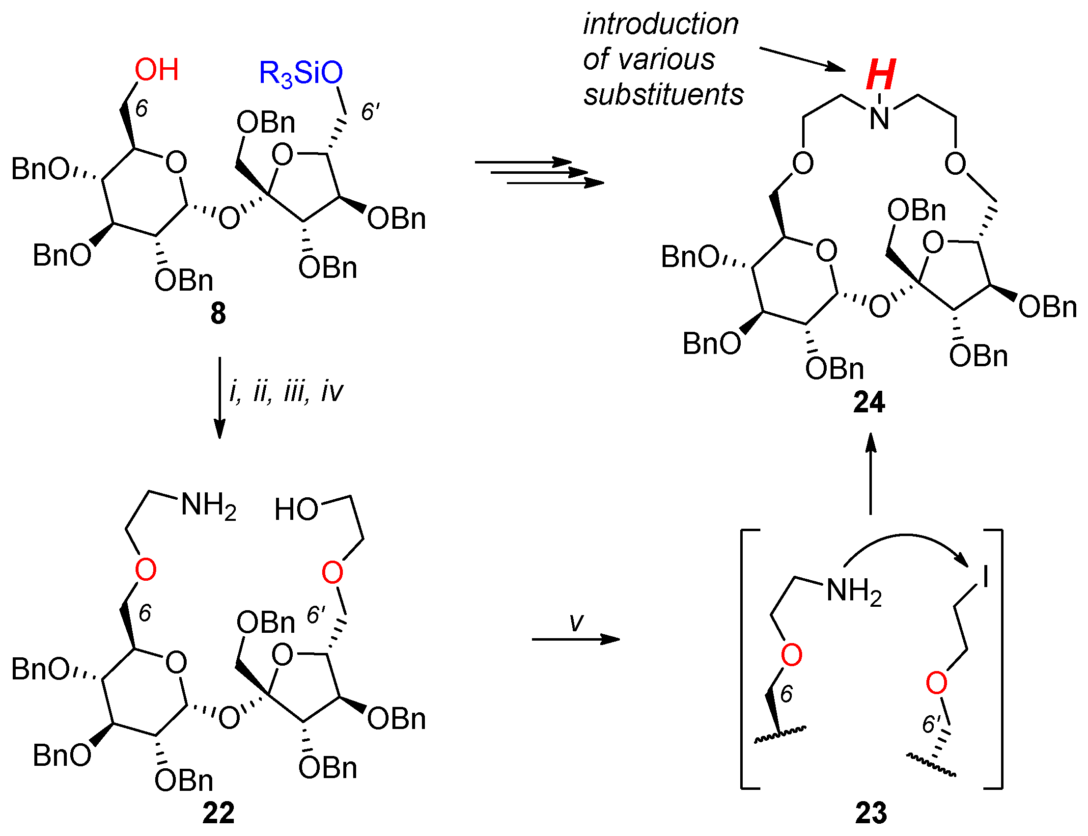 Efficient synthesis of macrocyclic sucrose template.